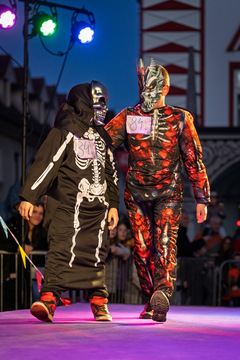 Kamniški karneval navdušil z barvito povorko (77)